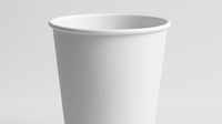 Standard Paper