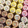 Ice cream tubs with lids with Nicecream logo and design