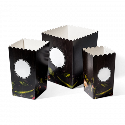 Popcorn boxes with fast delivery