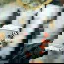 Bestseller paper cups