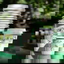 Vasos de cartón exprés