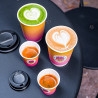 Branded 12 oz and 4 oz cups for Bonjour Palais Royal