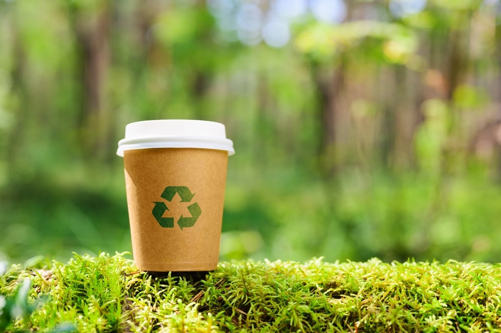 sustainable paper cup